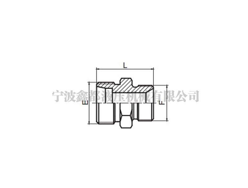 1CB/1DB 英管螺紋60°錐密封或組合墊密封兩用柱端